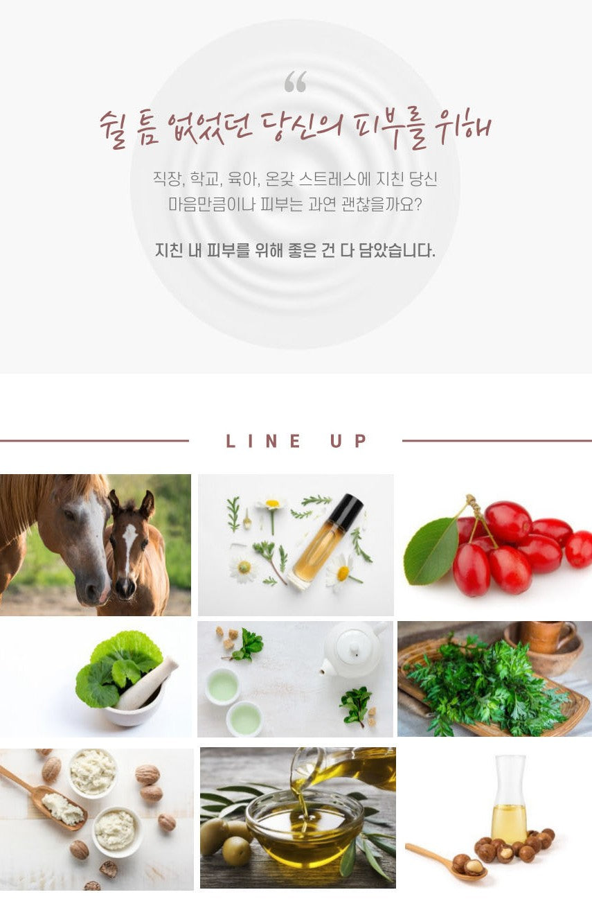 KUC Horse Oil Premium Creams 100ml Mayu Jeju moisturizing Anti-aging