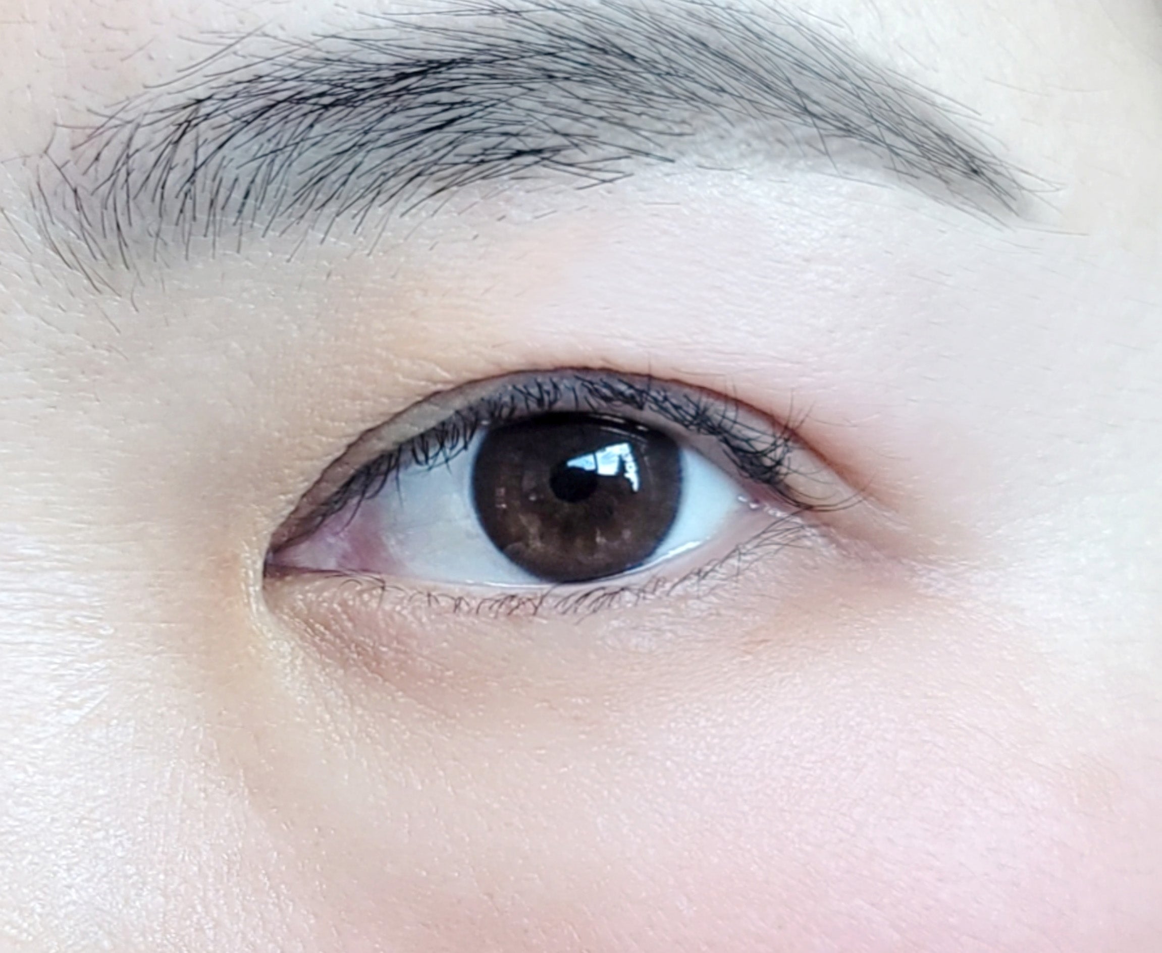 LEBELAGE Black Snail Eye Creams 70ml removes swelling whitening