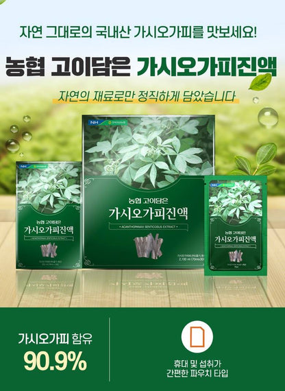 NONG HYUP Aacnthopanax Senticosus Extract 2100ml magnesium iron