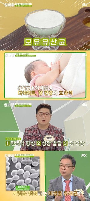 Naturalize Mother's Milk Probiotics Proline 1 Month Lactobacillus 30P