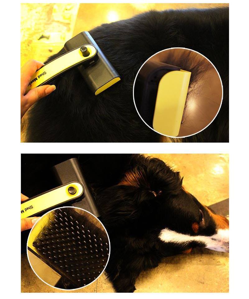 Pets Dogs Cats Brushes Grooming Pet Supplies Beauty Puppy