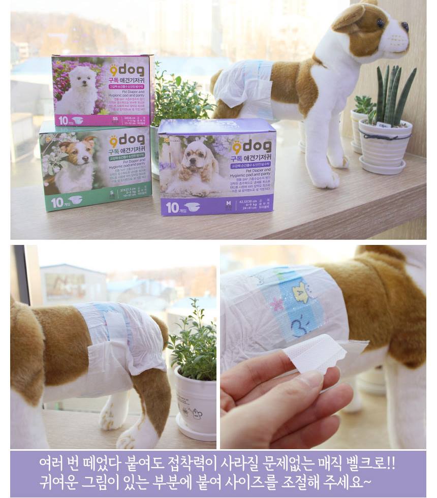 Pets Dogs Female Puppy Small Diapers10p Rapid Absorption Pet supplies