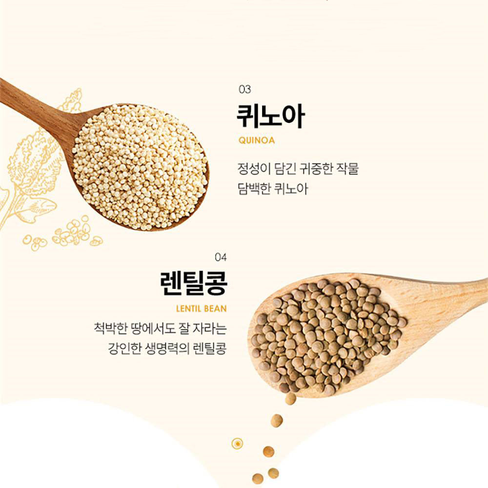 DAMTUH Korean Roasted 12 Super Grains Mixed Powder Misugaru Foods