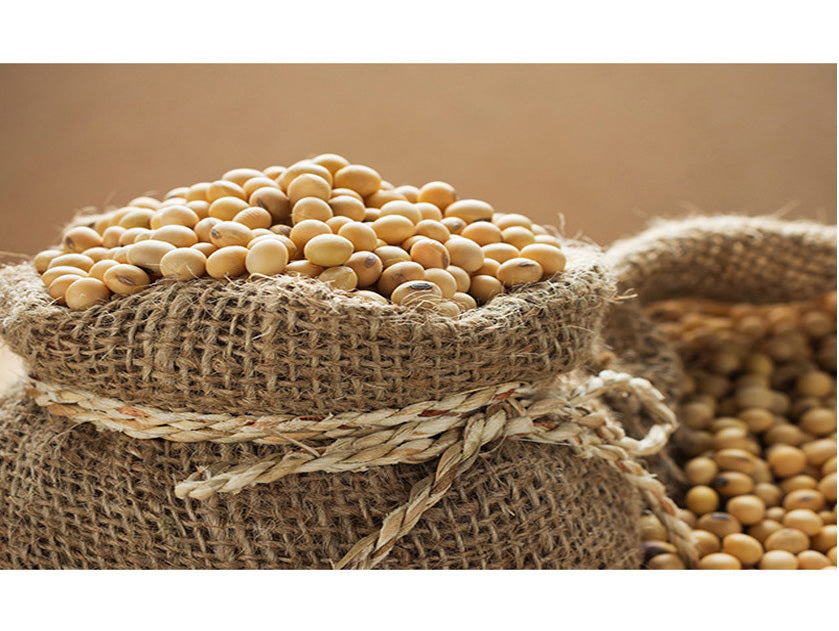 Sempio Yondu Cooking Essence Light 320g Foods Natural Seasoning Sauce