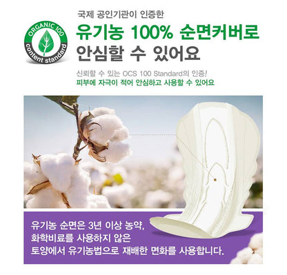 SOFY BODY FIT 330 Organic Pure cotton Sanitary Cover For Womens