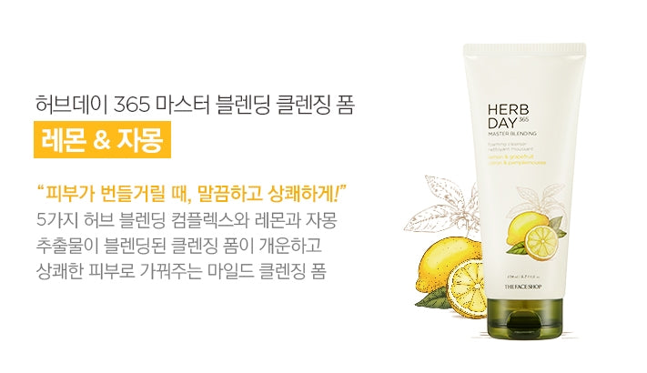 THE FACE SHOP HERB DAY MASTER BLENDING FOAMING CLEANSER SPECIAL SET