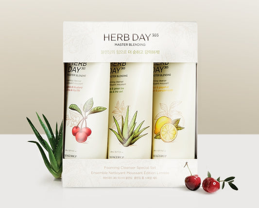 THE FACE SHOP HERB DAY MASTER BLENDING FOAMING CLEANSER SPECIAL SET