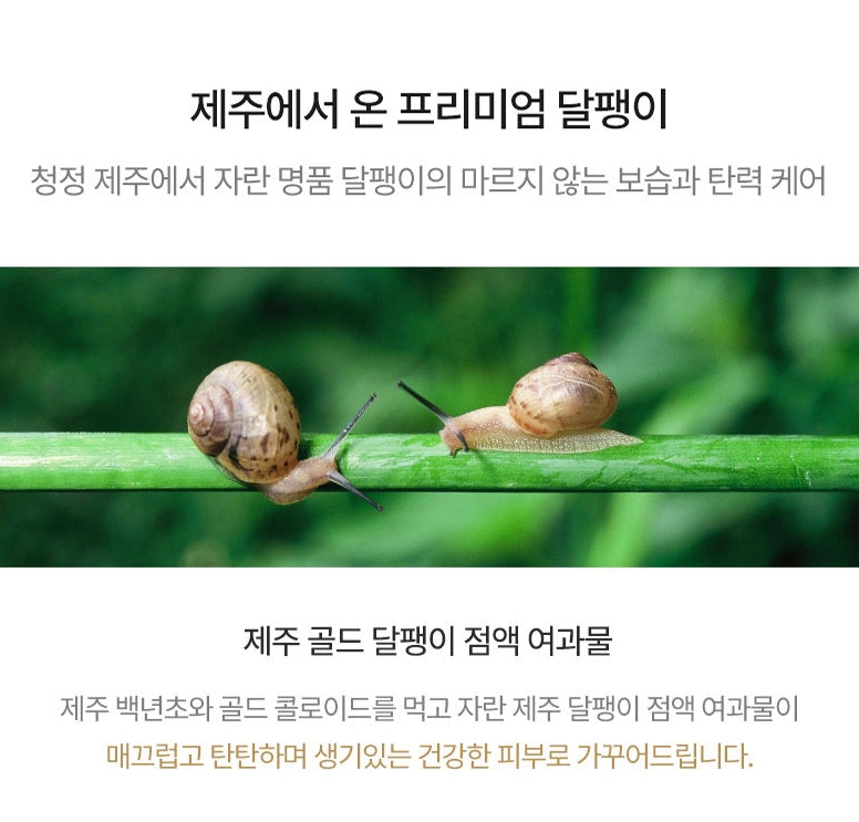 TONYMOLY PRESTIGE JEJU SNAIL CREAM 45ml Womens Skincare Facial Korean
