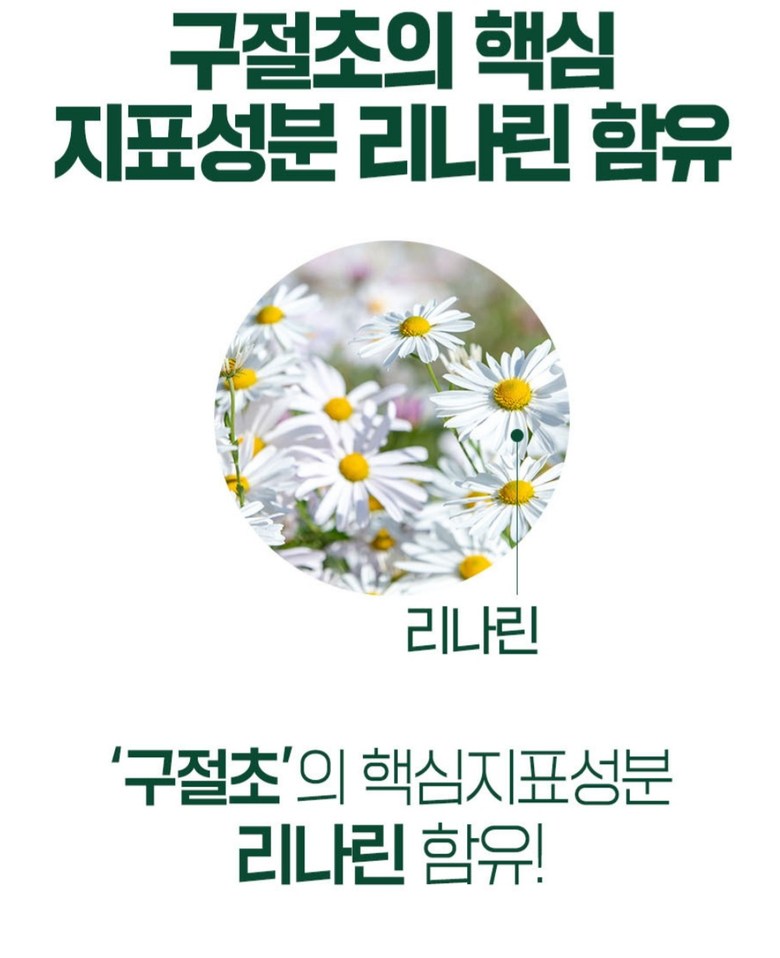 WorldBioPharm Premium Siberian Chrysanthemum 800mg 60 Tablets 2 Months Korean Health Supplements Foods Gifts