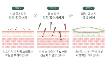 Wellderma Chadew Tea Tree Herb Tox Peeling Pack 150g Peels Skin Care