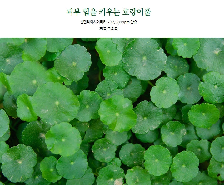 Wellderma Cica Treatment Repair Fitting Mask Soothes Improves Wrinkles