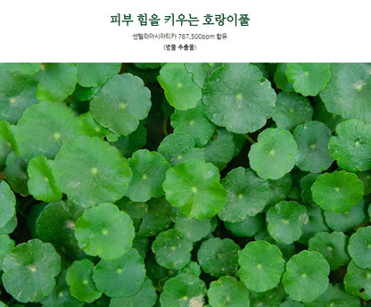 Wellderma Cica Treatment Repair Fitting Mask Soothes Improves Wrinkles