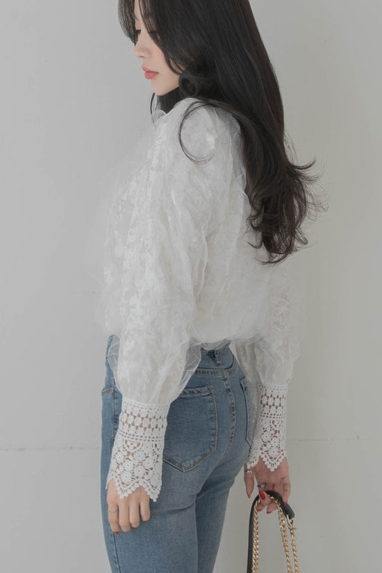 White Lace Velvet Combi Blouses