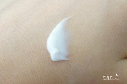 isoi Bulgarian Rose Intensive Age Control Eye Cream 20ml Korean Cosmetics