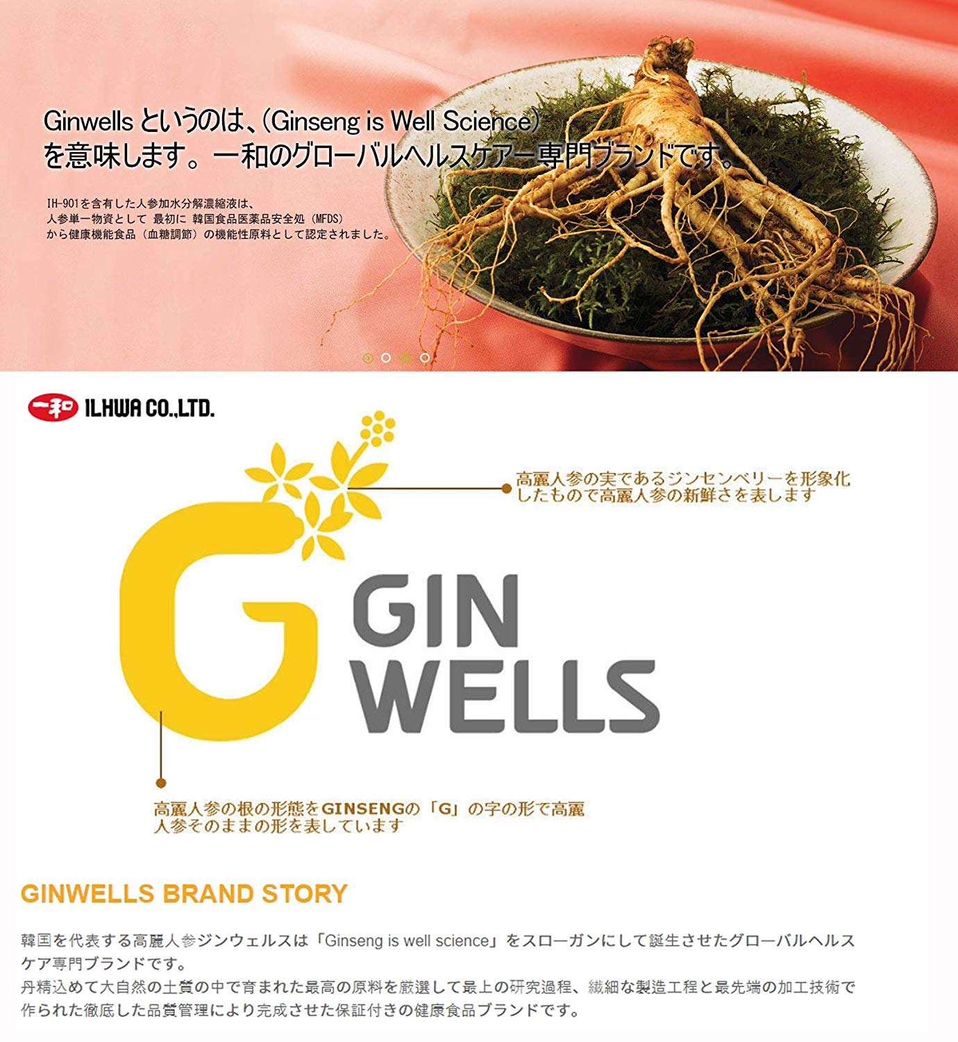 Ginwells PREMIUM 6 Years Korean Red Ginseng Extract 100g Health Foods